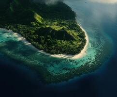 An aerial view of an island surrounded by green vegetation photo