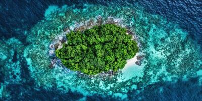 An aerial view of a small island in the ocean photo