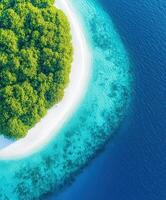 Aerial view of tropical island with white sand and green trees photo