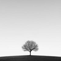 Black and white photo of lone tree on hill