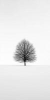 A black and white photo of a tree in the middle of a field