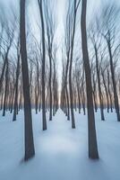 A blurry image of a snowy forest with trees photo