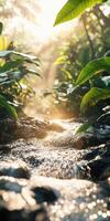 A stream running through a lush jungle with green plants photo