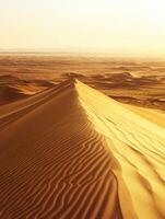 A large desert with sand dunes photo