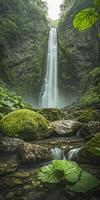 A waterfall in the middle of a forest with green plants photo