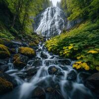 A waterfall in the forest with rocks and trees photo