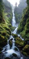 A waterfall in the middle of a forest with green moss photo