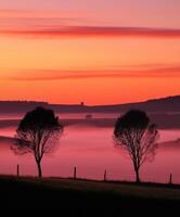Three trees stand in the foreground of a foggy landscape photo