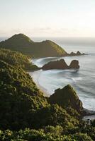 A view of the ocean and a beach from a hill photo