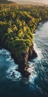 An aerial view of tropical island in hawaii photo