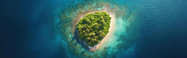 An aerial view of an island in the middle of the ocean photo