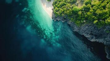 An aerial view of a beach and green trees photo