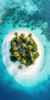 An island in the middle of the ocean with palm trees photo
