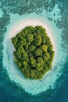 Aerial view of tropical island with green trees in the ocean photo