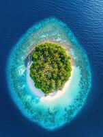 Aerial view of tropical island in the ocean with blue water and palm trees photo
