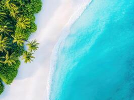 Tropical beach with palm trees and turquoise water photo