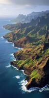 The ocean and mountains are shown in this aerial photo