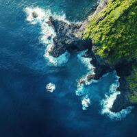An aerial view of the ocean and green vegetation in the middle of the sea photo