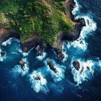 An aerial view of a rocky coastline with green vegetation photo
