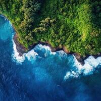 An aerial view of the ocean and green forest in hawaii photo