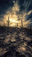 A desert landscape with cactus trees and a cloudy sky photo