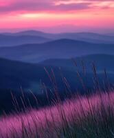 A purple sunset over a mountain range with grass photo