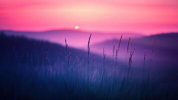 A purple sunset over a field with tall grass photo