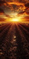 A field with dirt and sun setting over it photo