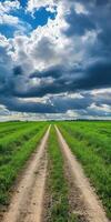 A dirt road runs through a green field with storm clouds in the background photo