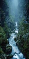 A river runs through a gorge in the middle of a foggy forest photo
