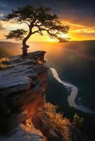 A lone tree stands on the edge of a cliff at sunset photo