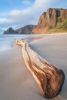 A log on the beach with mountains in the background photo