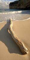A driftwood log on the beach near the ocean photo