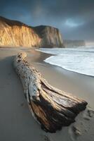 A large log on the beach near cliffs photo