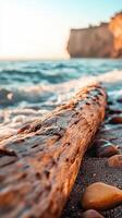A log on the beach with rocks and water photo