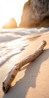 A beach with a log on it photo