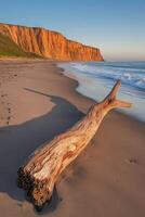 A log on the beach near the ocean photo