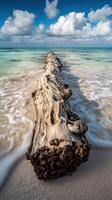 A long exposure photograph of a log on the beach photo