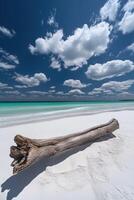 A log on the beach with a blue sky and white sand photo