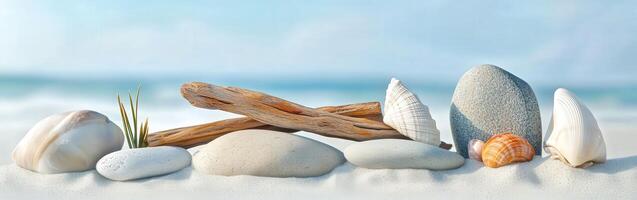 Sea shells and driftwood on the beach photo