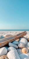 Shells and pebbles on the beach with a wooden stick photo