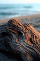A close up of a log on the beach photo