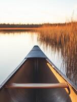 A canoe is sitting on the water near tall grass photo