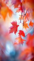 Autumn leaves on a tree branch with blurred background photo