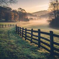 Foggy morning in the country with a fence and trees photo