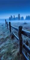 Frosty morning in the field photo