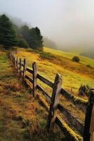 Foggy morning in the mountains photo