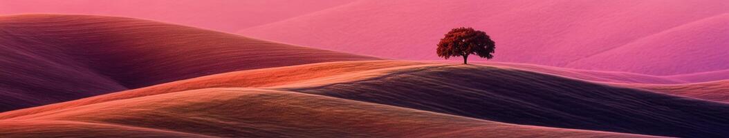 A lone tree stands on top of a mountain photo