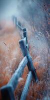 Frosty fence by james kennedy photo
