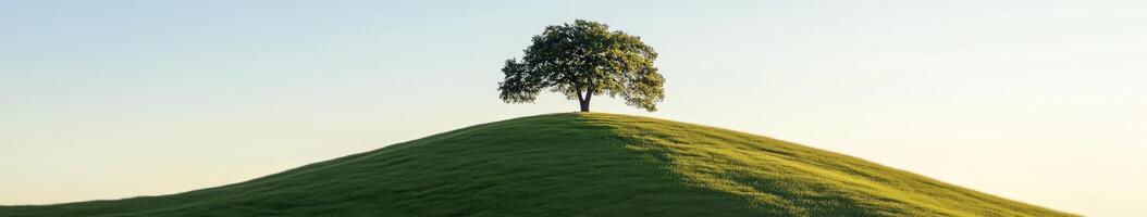 A lone tree stands on top of a hill photo
